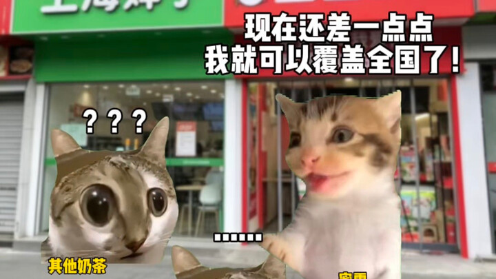 เจ้าพญาน้ำแข็ง: เกือบจะครองแผ่นดินทั้งประเทศแล้ว