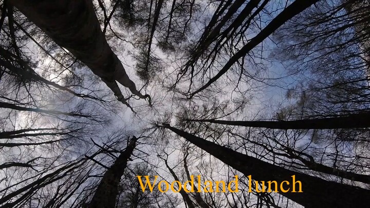 Woodland Stop off set-up and steak lunch