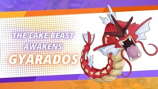 Let's know about Gyarados | Pokemon unite