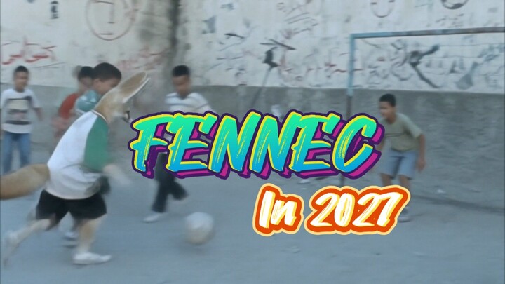 A Fennec in 2027