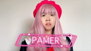 PAMER
