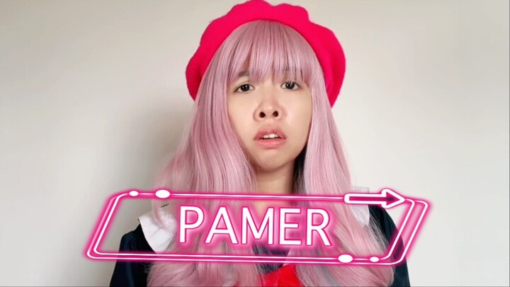 PAMER