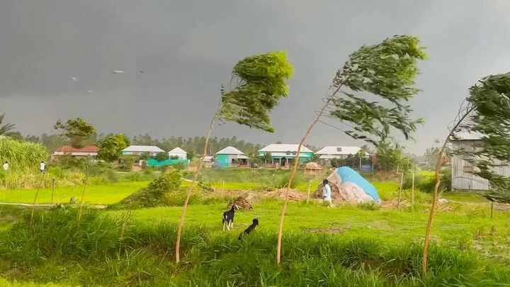 nice nature weather