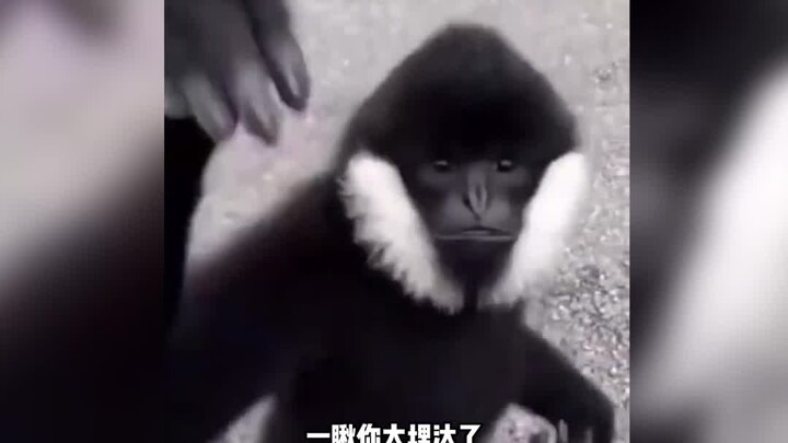 Someone’s still standing right where you left them, waiting for you!