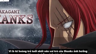 Bí Ẩn Về Thân Phận Thật Sự Của Shanks_ - Vai Trò & Cấp Độ Sức Mạnh