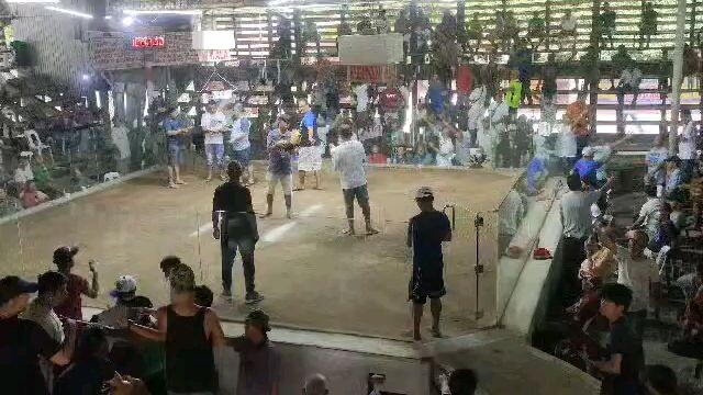 infinity English dome now 7x winner