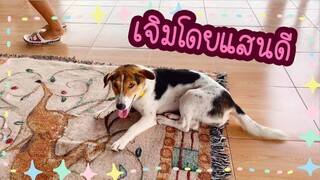 โลกของแสนดี ตอน พรมวิเศษ