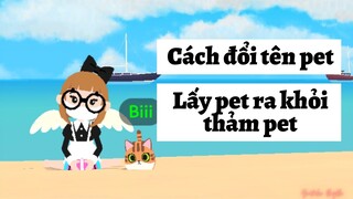 Cách đổi tên pet, lấy pet ra khỏi hàng rào thú cưng Play Together #15 | BIGBI