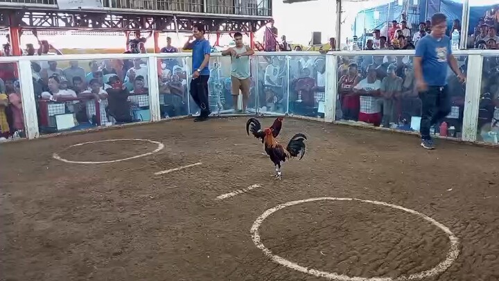 baras cockpit arena