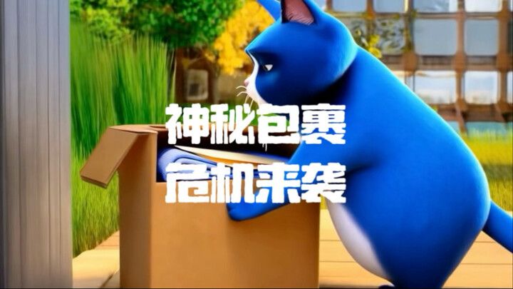 月半猫收到神秘礼服