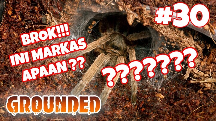 BROK!!! NIH MARKAS SEREM GINI - Grounded #30