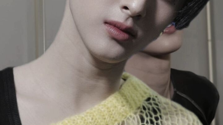 เหมียวเปอร์วงบัส