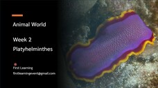 การจำแนกสัตว์กลุ่ม Platyhelminthes