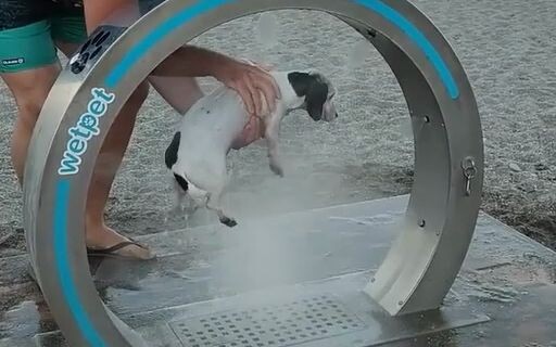 Fasilitas mandi untuk anjing yang penuh pasir setelah bermain di pantai kota Malaga, Spanyol [doge]…