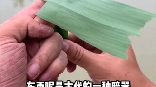 “优雅永不过时”人类优雅的各种操作