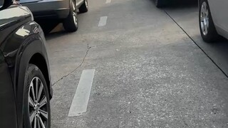 把自己活成春天，世界自会向你盛开。干饭喽！
