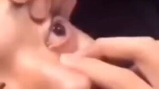 I CAN NOW SEE JOHN CENA