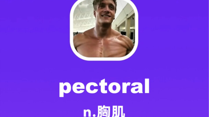 pectoral: pectoral muscles