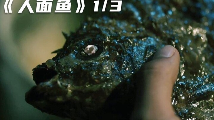 คดีฆาตกรรมเลือดสาดที่จุดชนวนจากปลาหมอสีตัวเดียว ชายชรากินไปแค่คำเดียวก็ถูกฆ่าล้างโคตรอย่างโหดเหี้ยม!