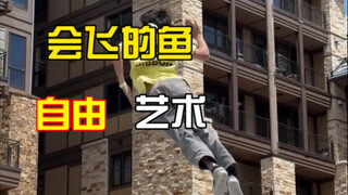 天空才是鱼儿的归属