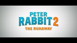 WATCH PETER RABBIT 2 THE RUNAWAY FOR FREE Link in Description