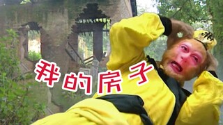 悟空，跟为师看房去