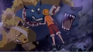 Luffy là 1 nhà huấn luyện Pokemon giấu nghề