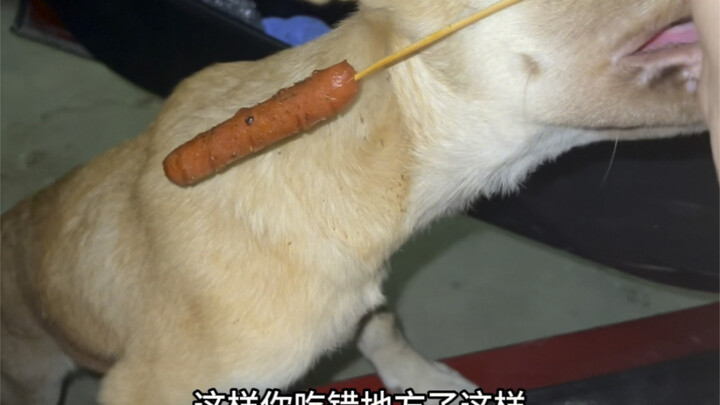 ประหยัดอาหารไปอีกมื้อ