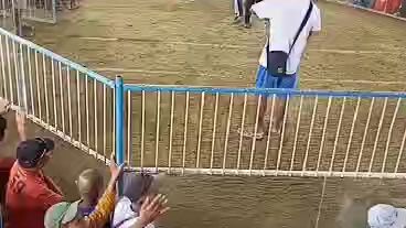 tubungan cockpit arena biya win,