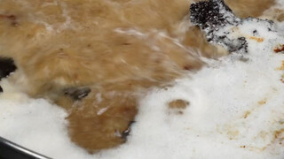 【Video giải tỏa căng thẳng của Béo Hổ】Video mới nhất đã ra mắt, mau đến xem ngay nào!