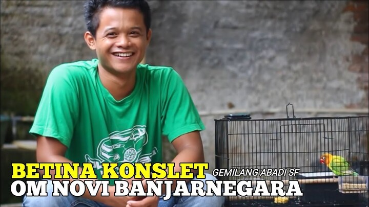 BETINA KONSLET || Om Novi Banjarnegara