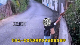 Bu, bukankah cintaku bernilai 100 yuan? Orang yang paling kupercaya justru yang paling menyakitinya.