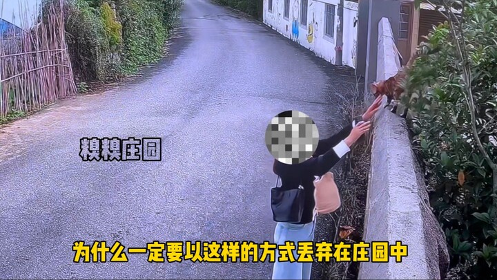 妈妈，我的爱不值100元吗最信任的人给了它最深的伤害