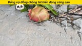 Đồng vợ đồng chồng #haihuoc