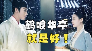 2022，该为《鹤唳华亭》翻案了！【斑鸠】