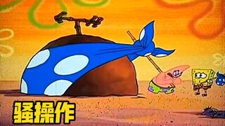 ⚡️海 洋 生 物 迷 惑 行 为⚡️（六十六）