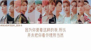 【SVT_ZER·0】SEVENTEEN - Fallin Flower (Subtitel Mandarin Stasiun Nol)