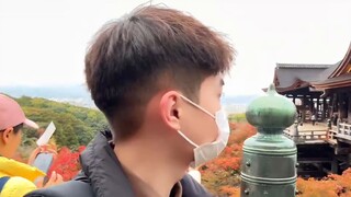 Japan VLOG｜A personal journey to Kyoto's red leaves! Solo travel diary