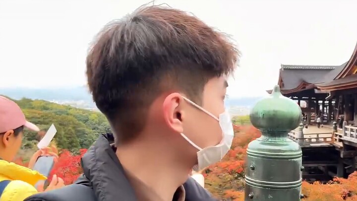 VLOG Jepang｜Perjalanan penyembuhan seseorang ke dedaunan merah Kyoto! Buku Harian Perjalanan Solo