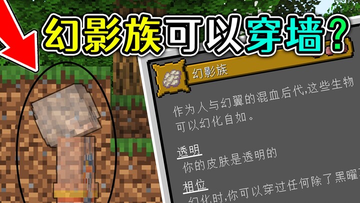 Minecraft: 9 New Races Added? The Phantom Race Can Walk Through Walls, and the Winged People Come Wi