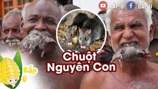 Top 10 món ăn kinh dị nhất của Châu Phi - African disgusting foods - Bắp Ú
