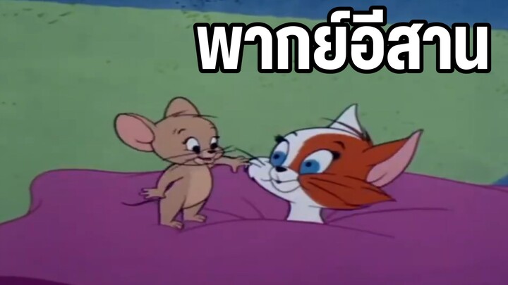 ทอมแอนด์เจอร์รี่ พากย์อีสาน เจ้าแมวก้างขวางคอ