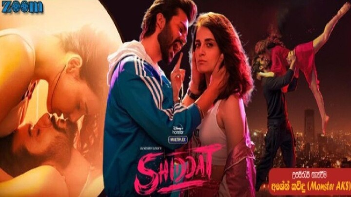 Shiddat Bollywood Hindi Movie