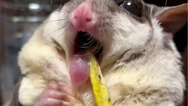 Almost got myself kicked out