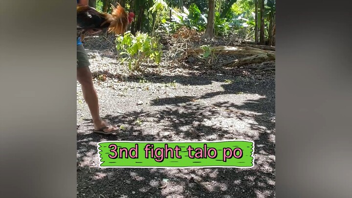 sayang talo ang 3nd fight bawi nlang sa sonod😁😁😁