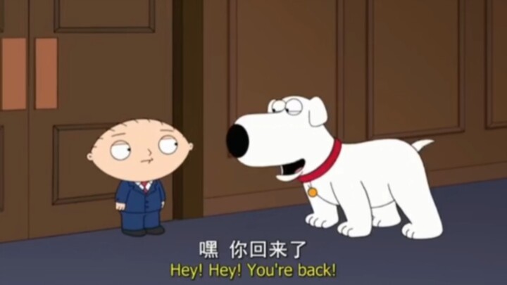 蠢白狗Brian