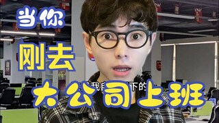 当你刚去大公司上班