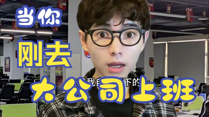 当你刚去大公司上班