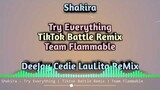 TRY EVERYTHING ( TIKTOK BATTLE REMIX ) CEDIE LAULITA | VIRAL TIKTOK REMIX