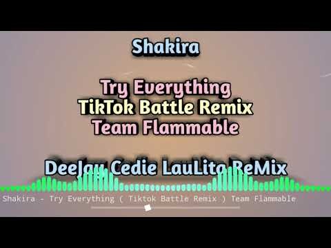 TRY EVERYTHING ( TIKTOK BATTLE REMIX ) CEDIE LAULITA | VIRAL TIKTOK REMIX